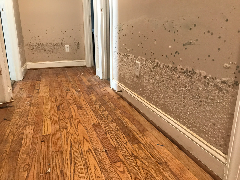 Interior of a flood-damaged home