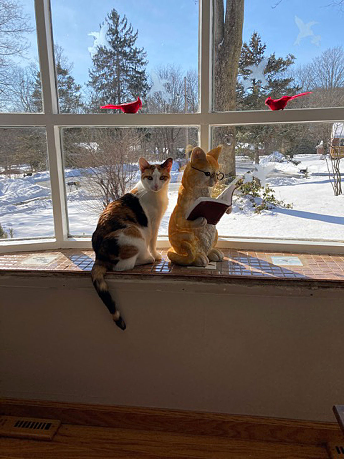 This is our rescue, Molly, who has been a wonderful addition to our family! She is three years old and has taken a liking to reading in the window with her “friend”, a wonderful ceramic cat statue! – Heloise.