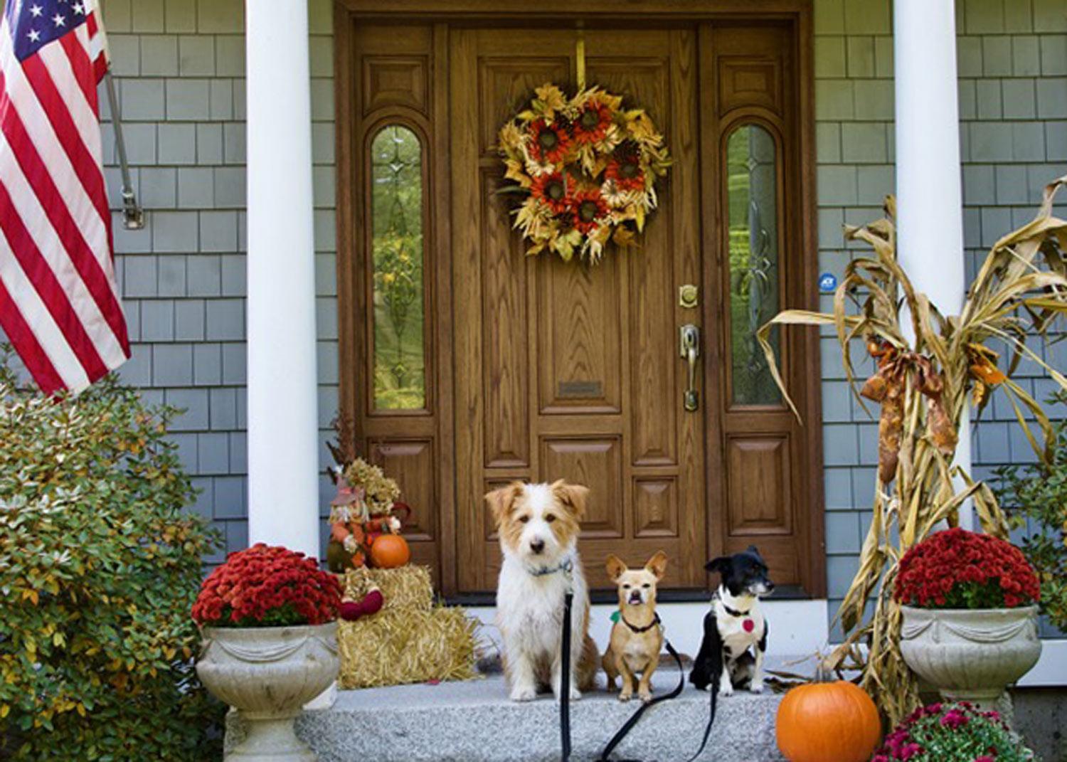 Dear readers, these are my 3 rescues sitting nice — Hobie, Nestor, and Bosco. Happy Fall! — Cheryl from NH
