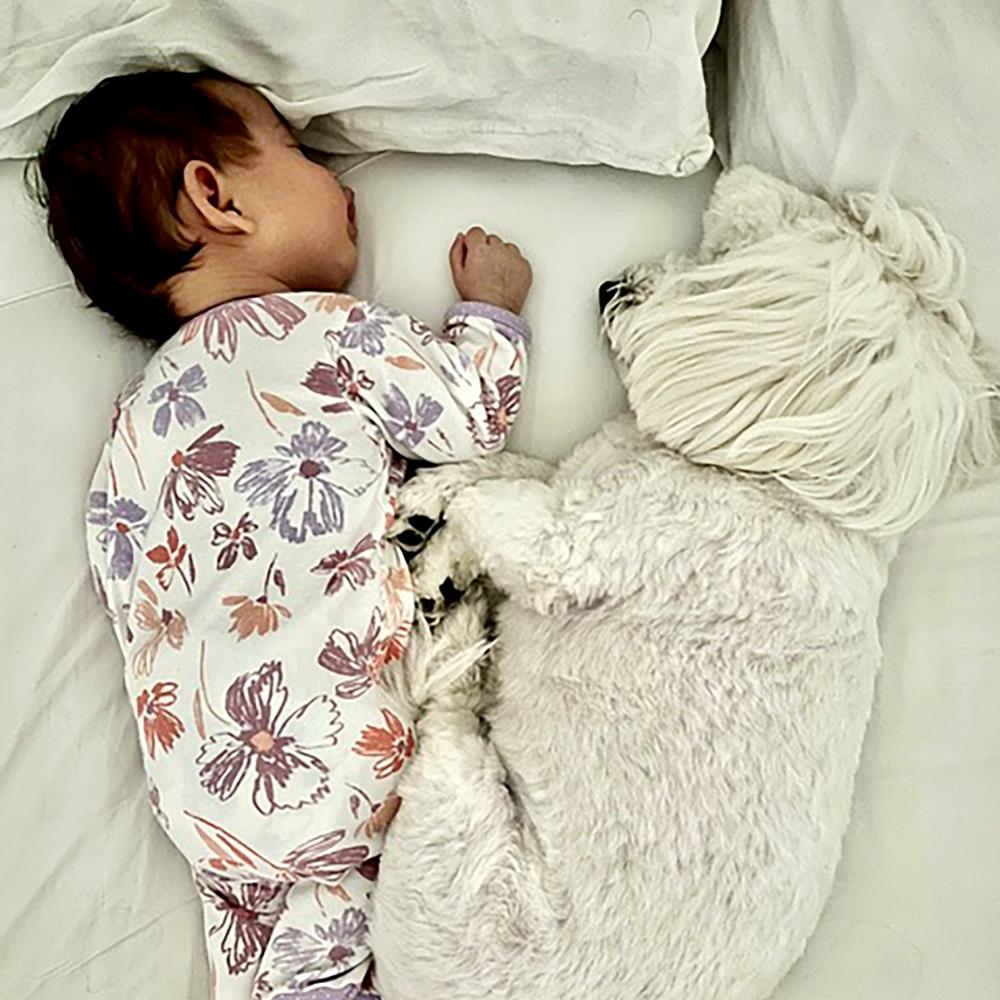 Penny the white dog and a baby girl dressed in a floral onesie share a peaceful nap highlighting a heartwarming companionship