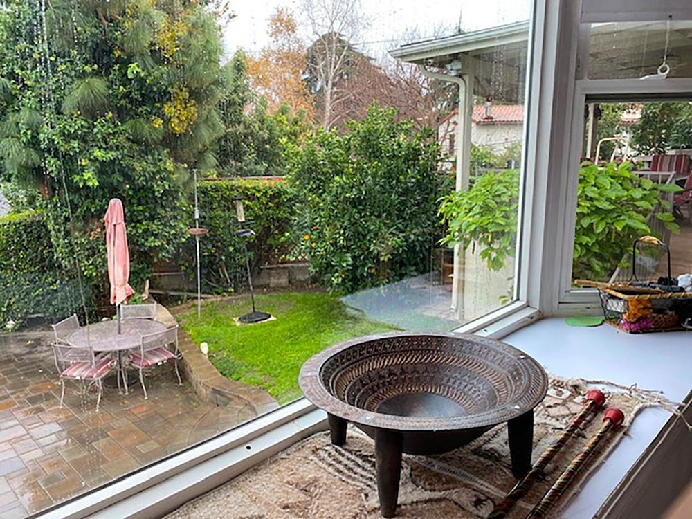 Rainy view through a large window of a beautifully maintained backyard with a patio set and lush greenery, serving as a sanctuary for local wildlife, including raccoons, skunks, possums, and birds.