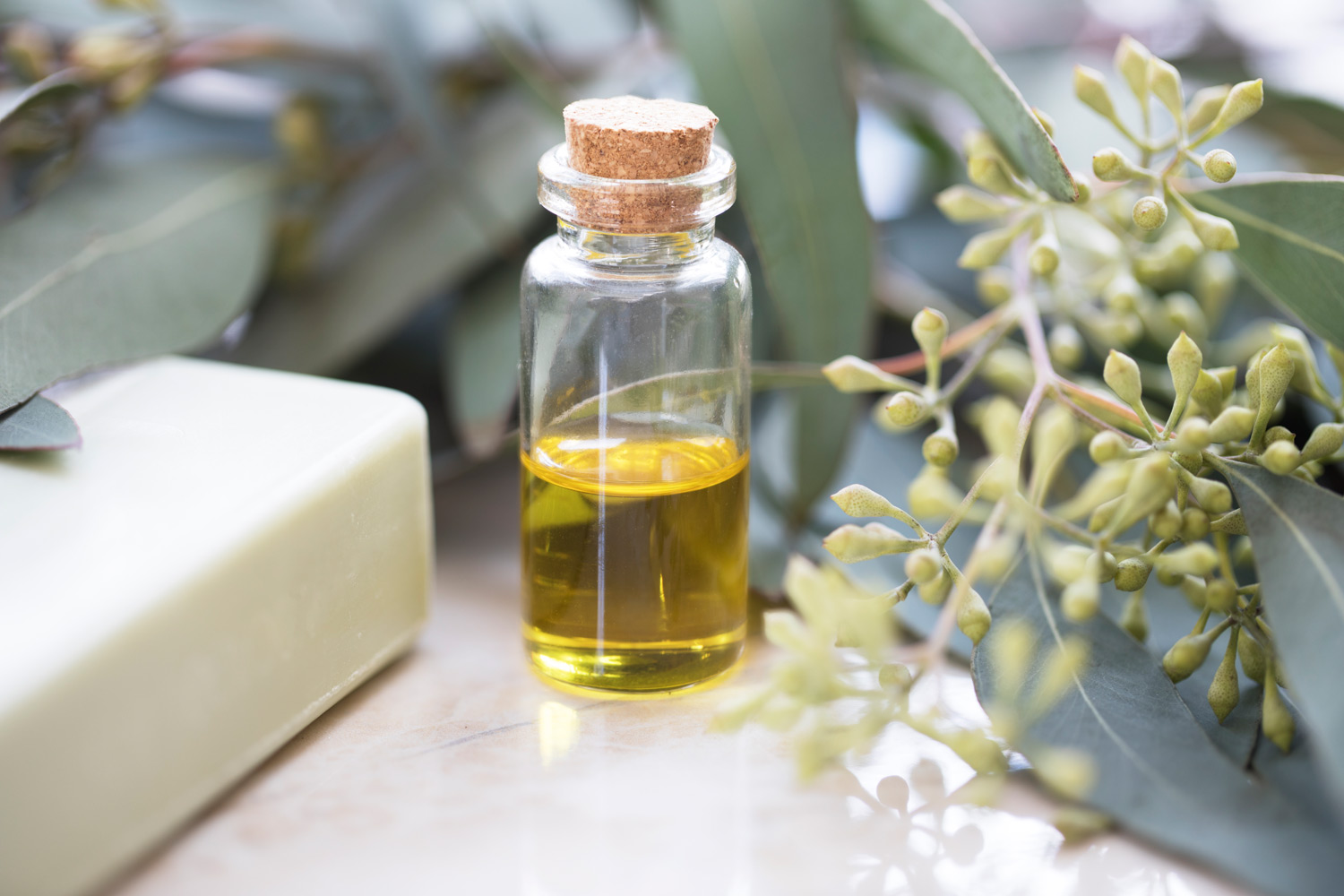 Eucalyptus oil