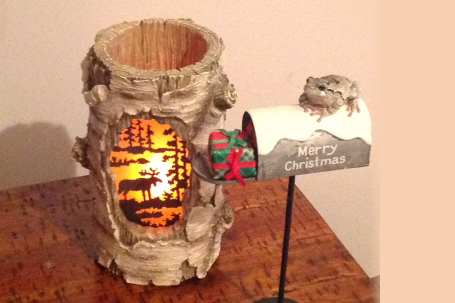 Todd the Toad has appeared to wish us all Merry Christmas!
